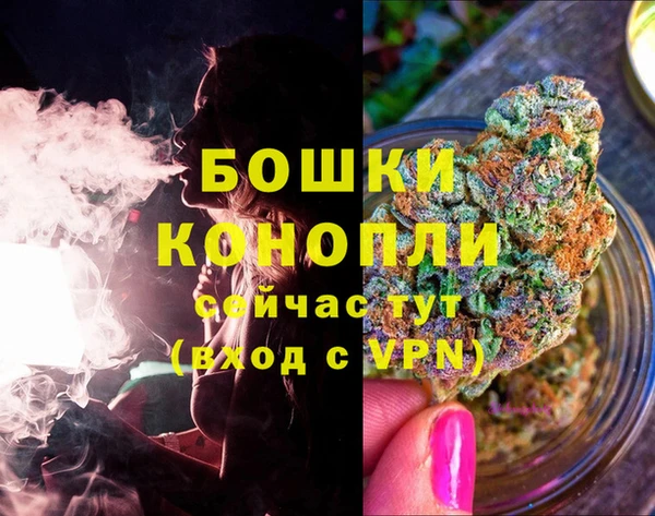 PSILOCYBIN Богородицк