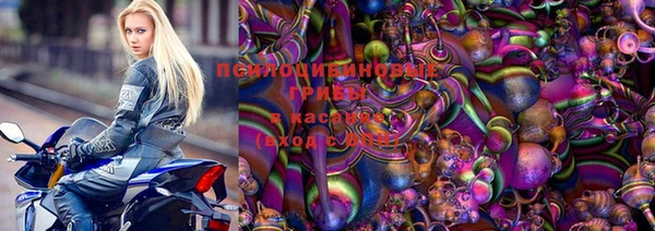 PSILOCYBIN Богородицк